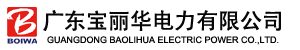 宝丽华电力